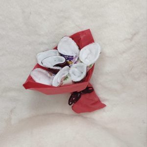 Bouquet de lingettes